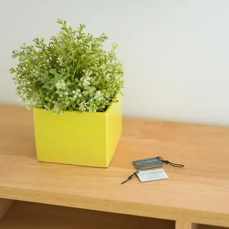 Apartamento Vivente - Las Palmas de Gran Canárias