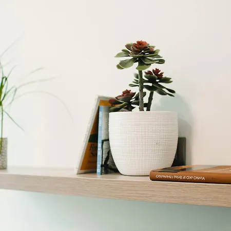 Vivente - Apartamento Las Palmas de Gran Canárias